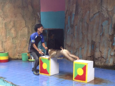 Animal cruelty, am I right?