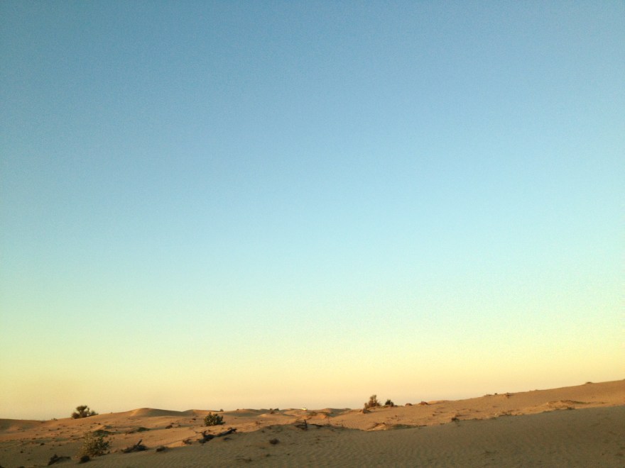 Roller Coaster Ride.