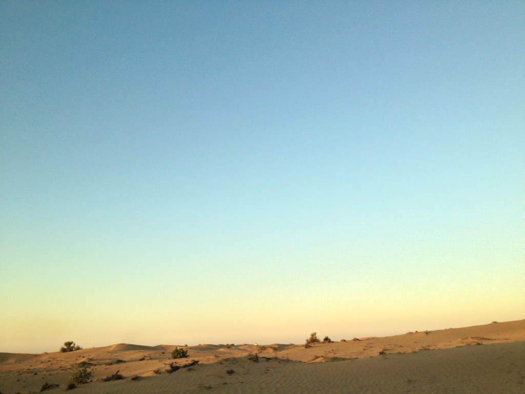 Roller Coaster Ride.