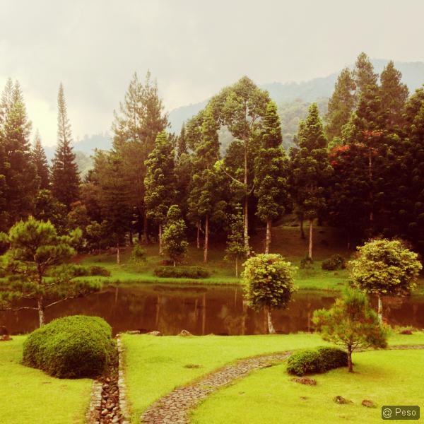 5260032ca15101.83771238