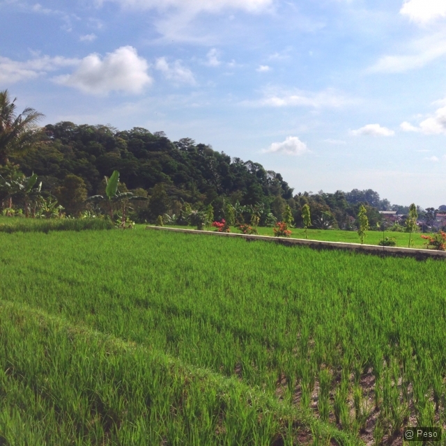 52a134bb2d2835.58964905