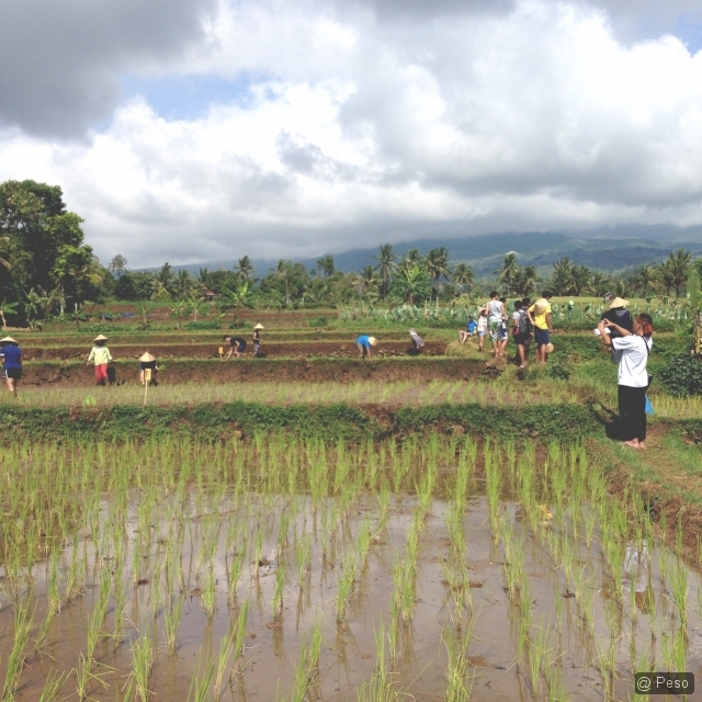 52a672cb6708e8.75291210