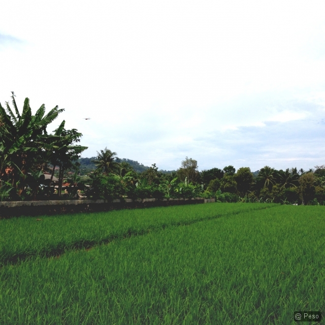 52a6736558e7f2.35135041