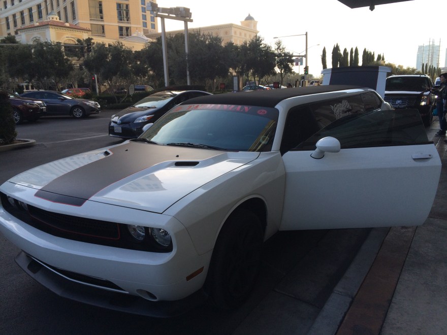 Only in Vegas, baby!