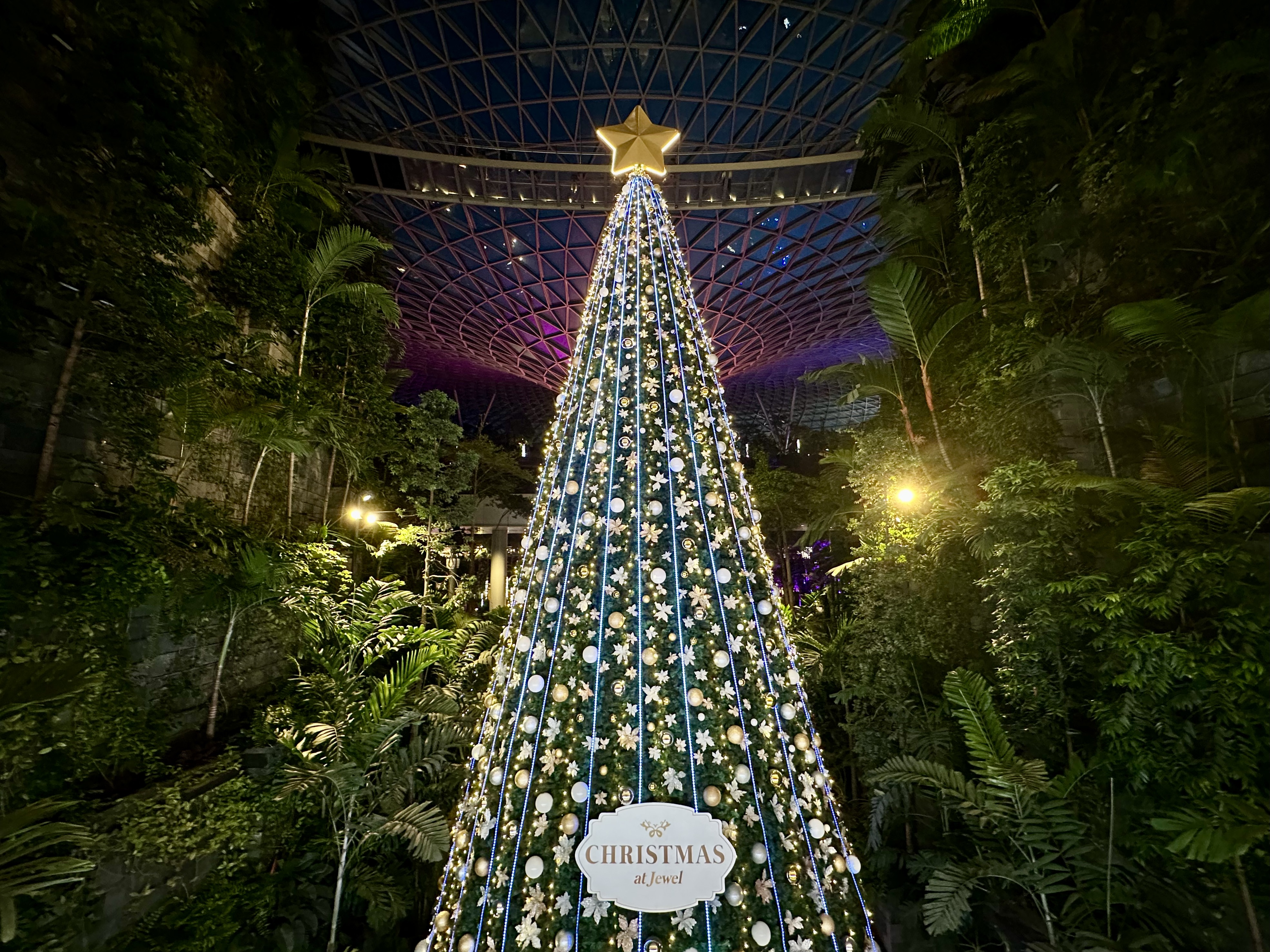 Bejeweled Christmas