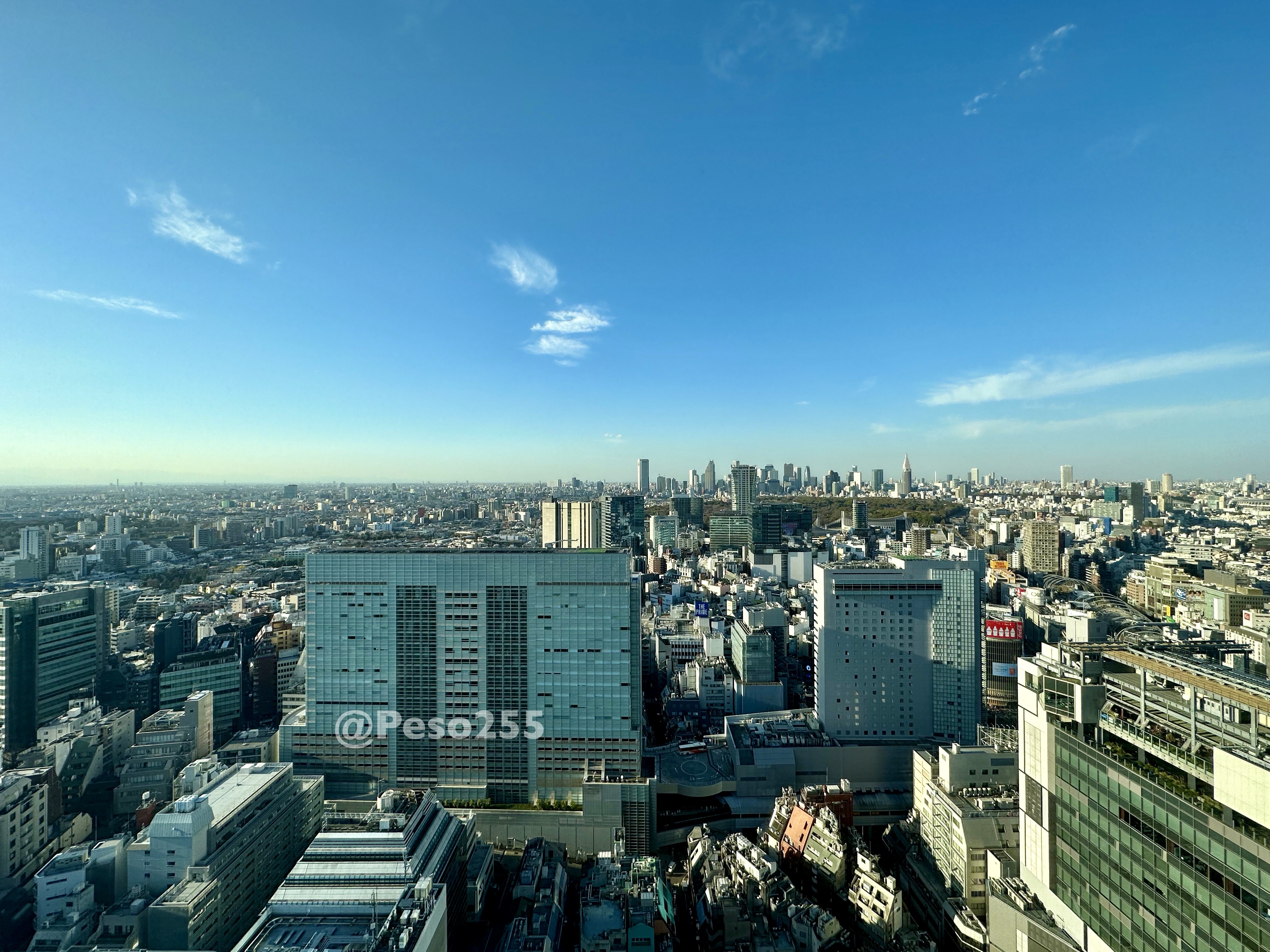 Good Morning Shibuya