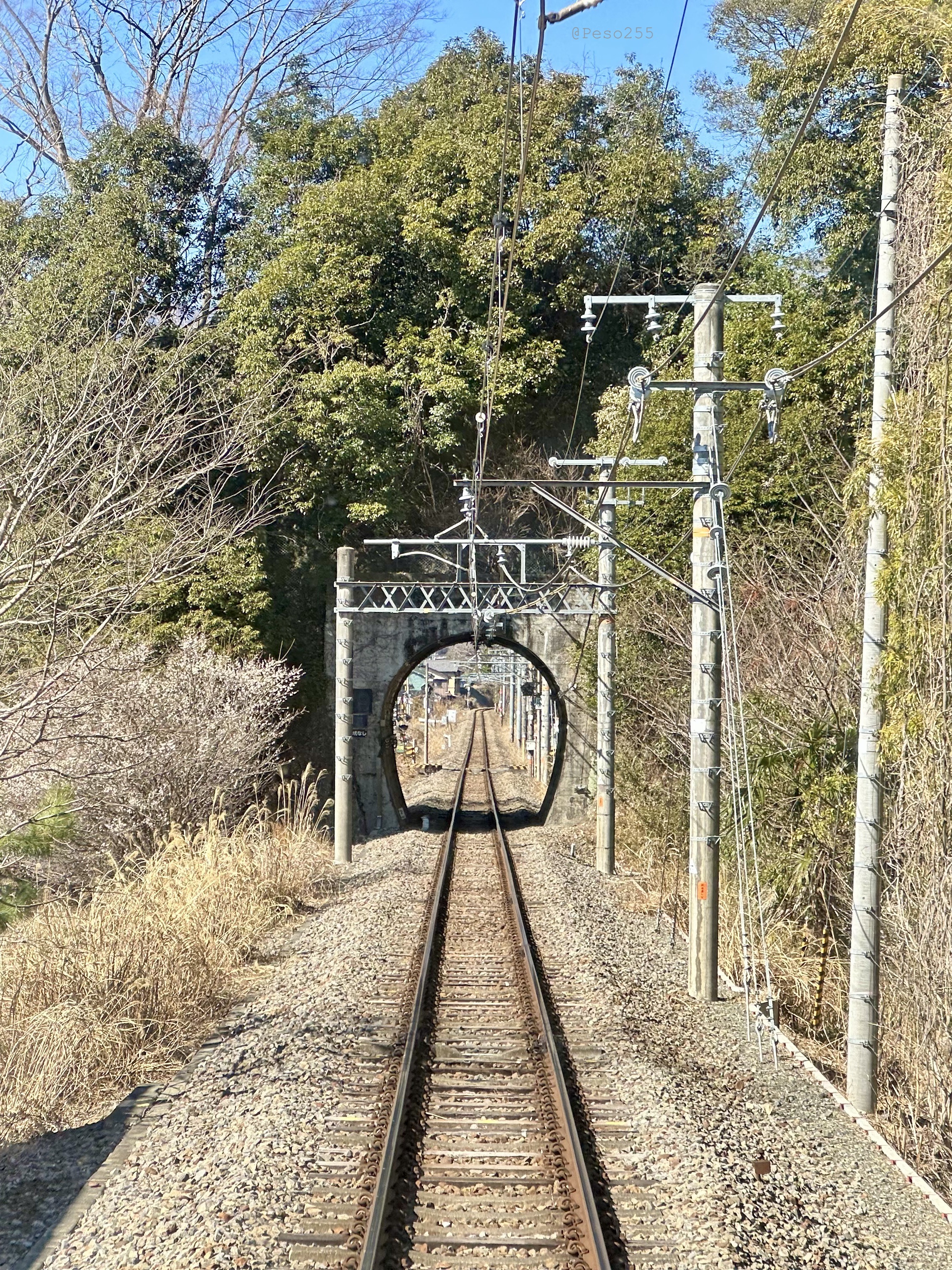 Looking Back on a Slow Train