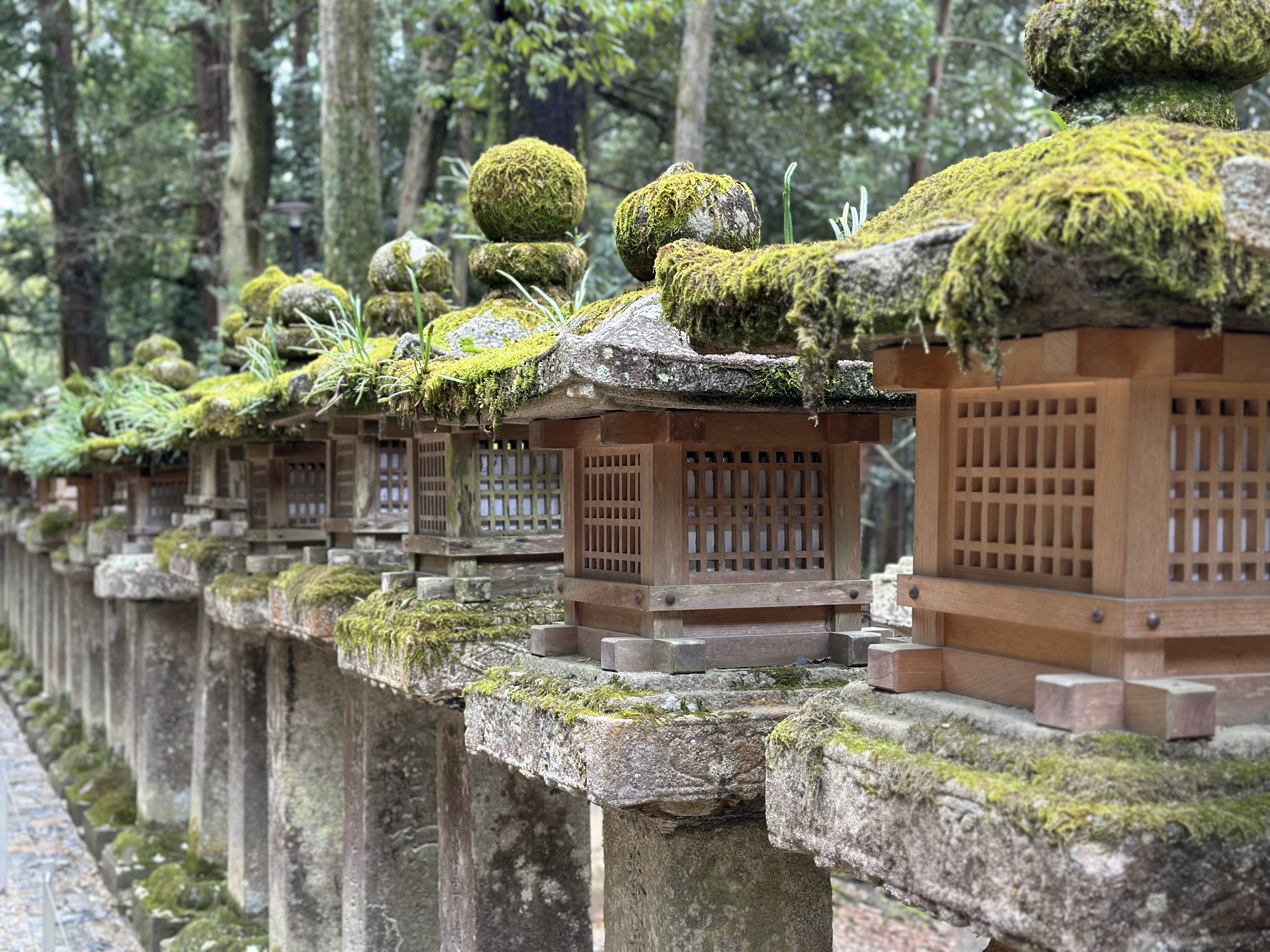 Stone Lanterns