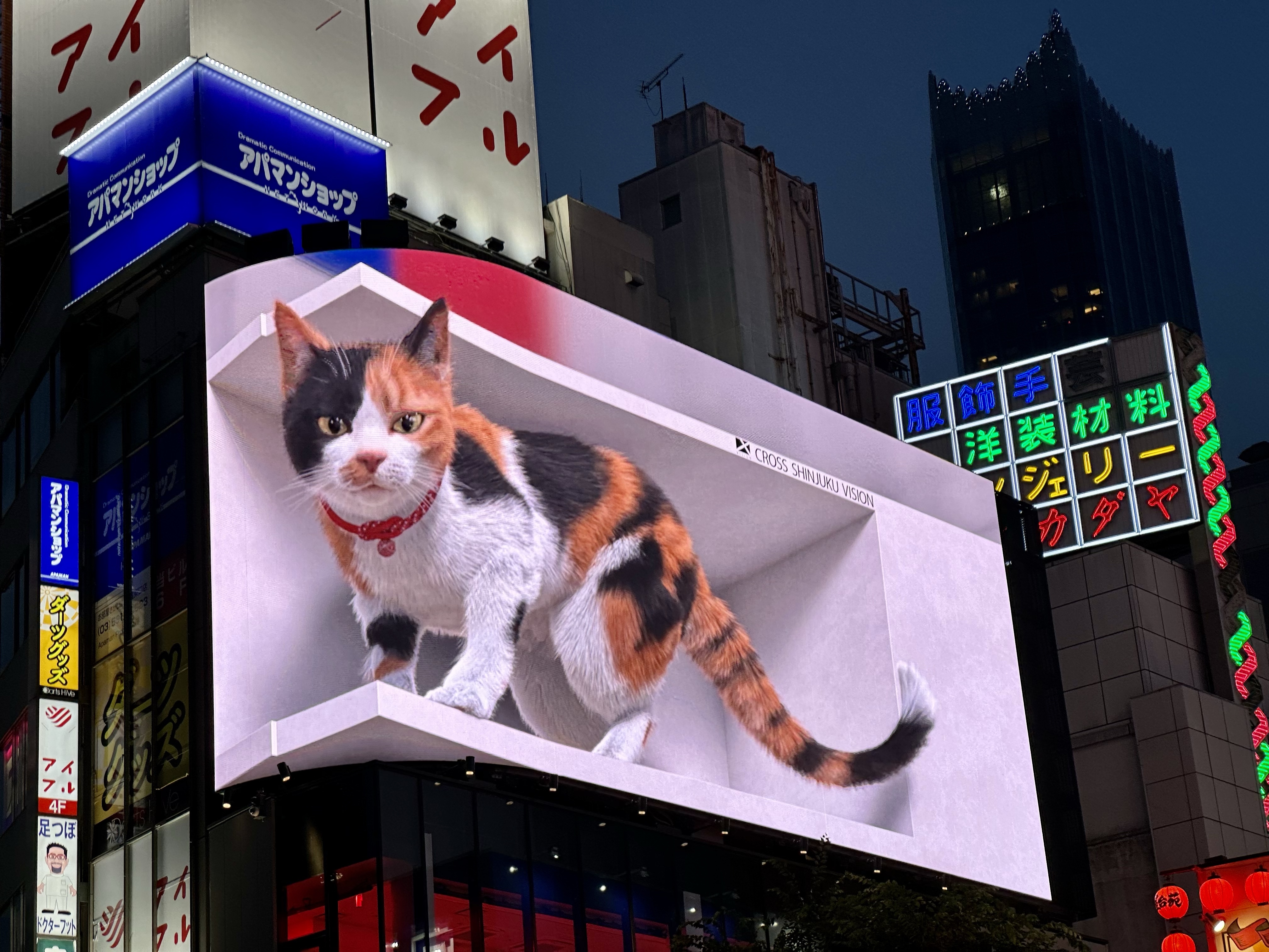 Shinjuku’s Pet Cat