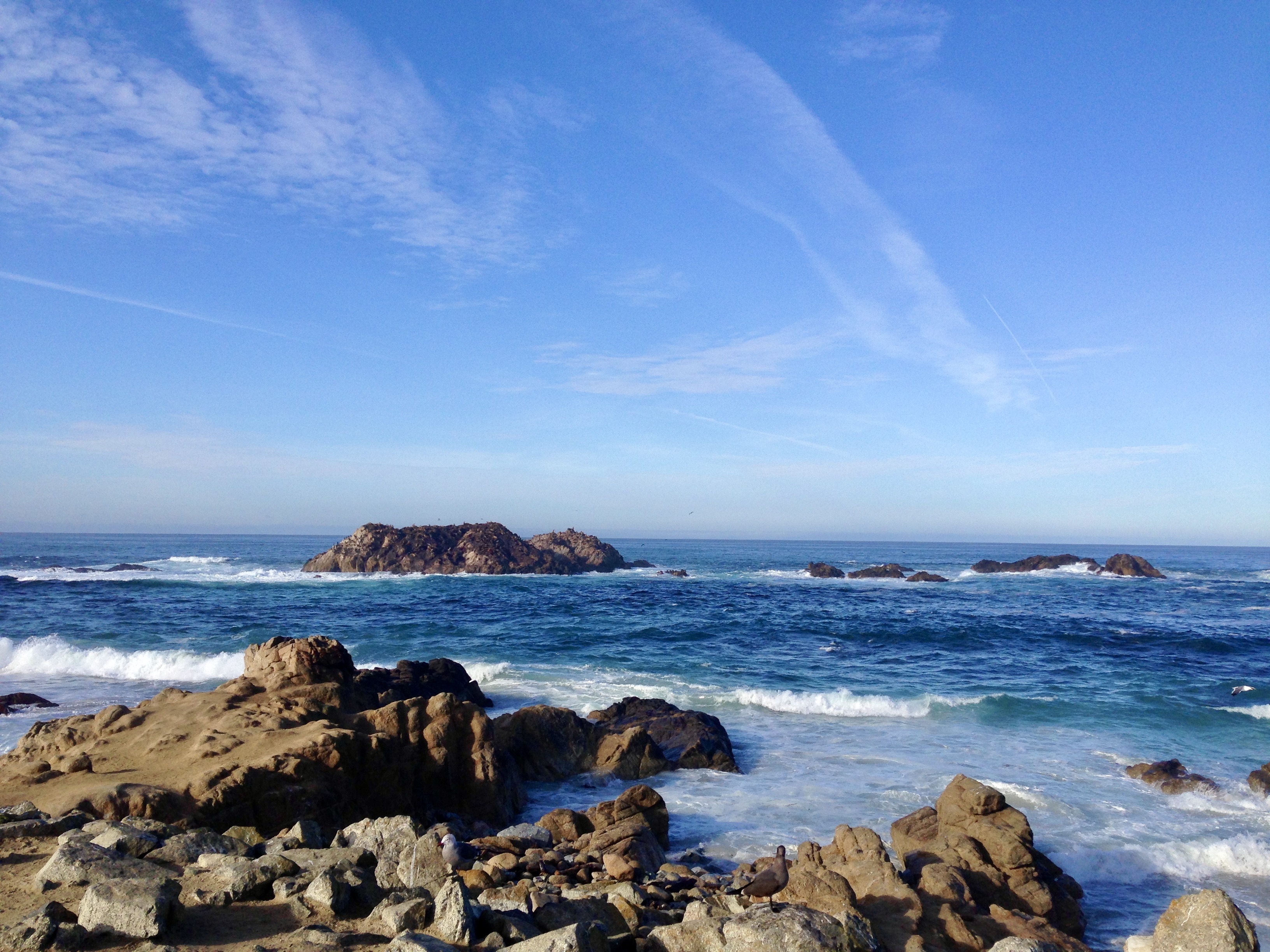 Bird Rock