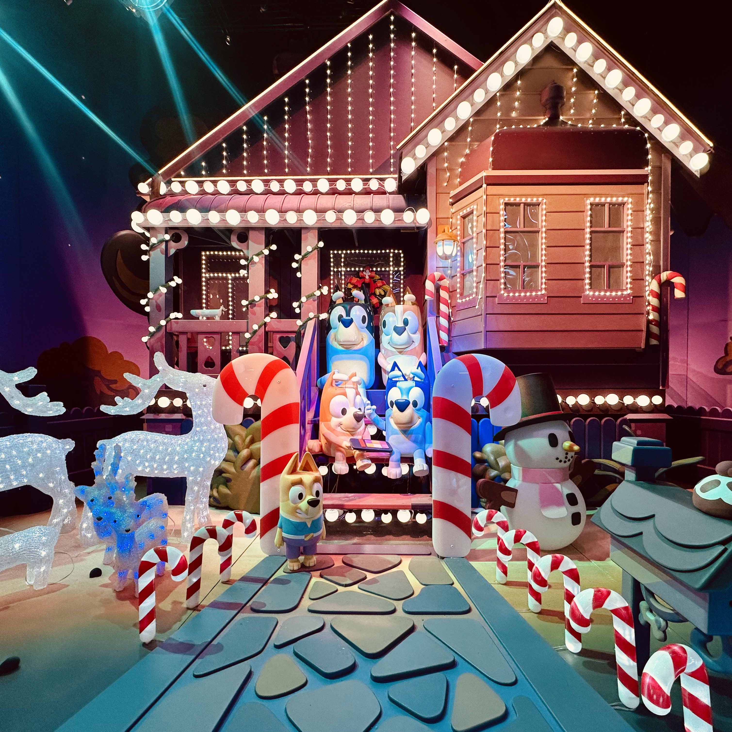 A Bluey Christmas