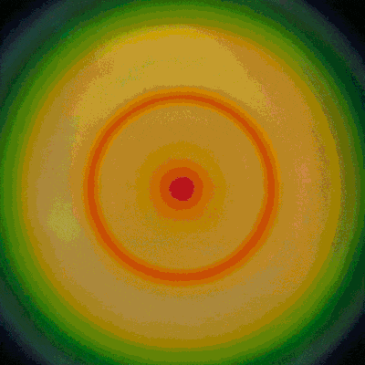 Trippy Circles