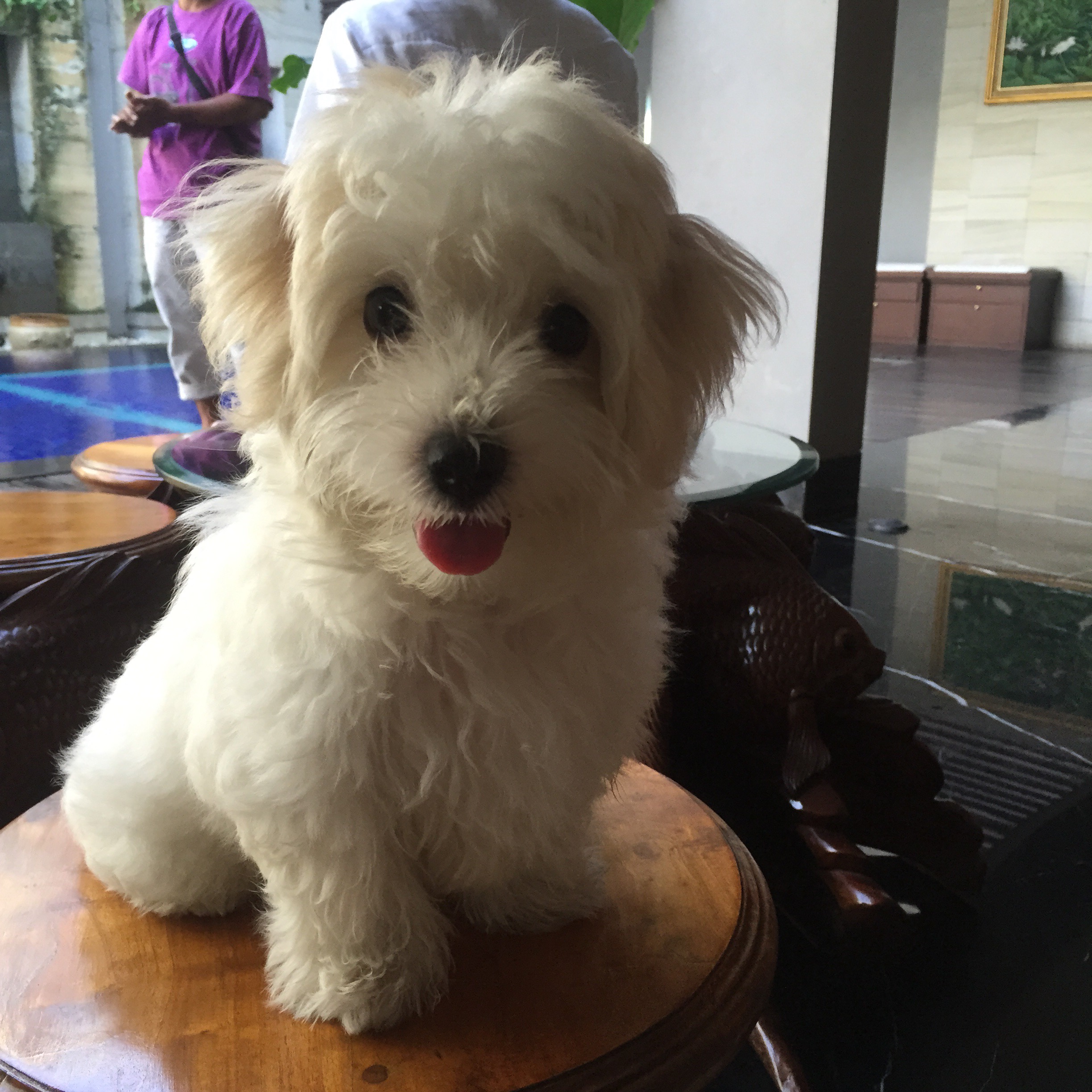 Cuteness Overload